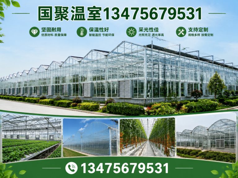 潍坊滨海经济技术开发区玻璃温室展示图