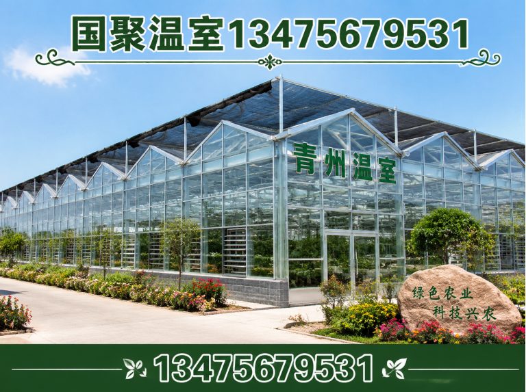 潍坊滨海经济技术开发区国聚温室展示图
